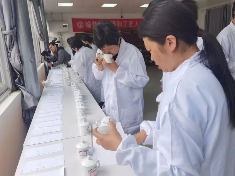 有关于2022年贵州省春季斗茶大赛进入专家审评阶段的新闻(4)