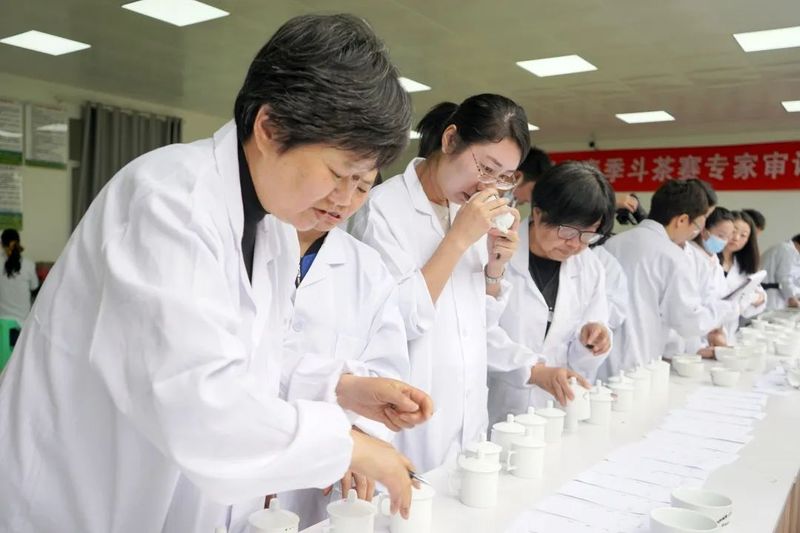 有关于2022年贵州省春季斗茶大赛进入专家审评阶段的新闻(2)