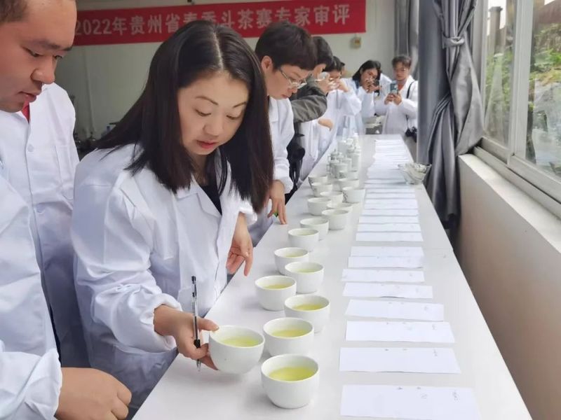 有关于2022年贵州省春季斗茶大赛进入专家审评阶段的新闻(5)