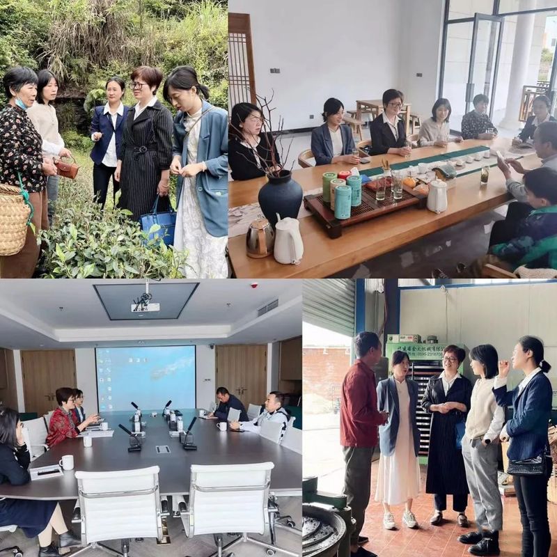 关于项目带动 院地协同——中茶院科技助推浙江泰顺茶产业发展的信息(2)