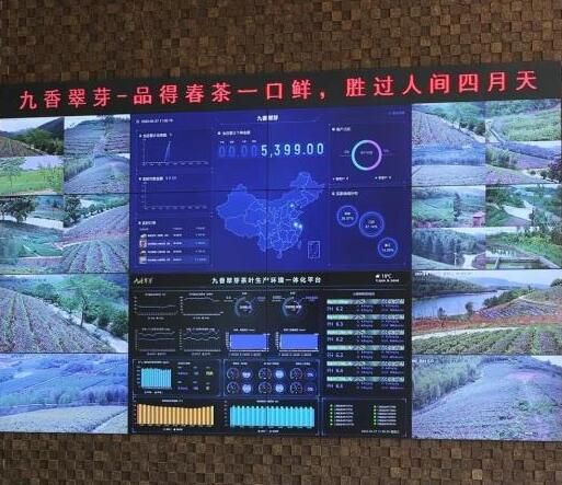 关于江苏宜兴：智慧茶园装上“最强大脑”的新闻