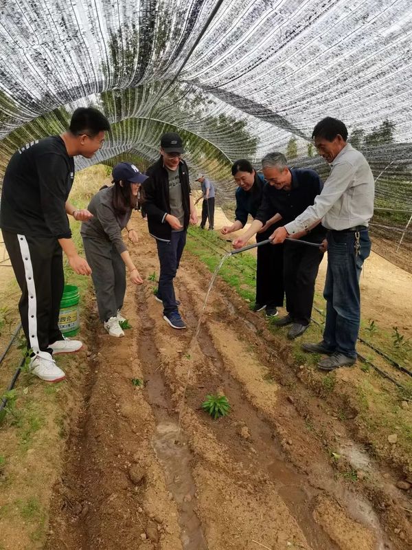 关于山东省农科院茶叶研究所春曦智慧茶园建设启动仪式在费县春曦高山生态茶园举行的消息(3)