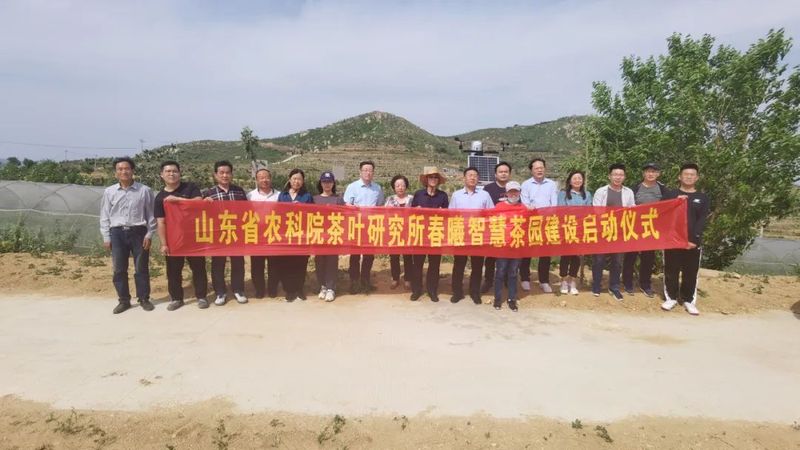 关于山东省农科院茶叶研究所春曦智慧茶园建设启动仪式在费县春曦高山生态茶园举行的消息