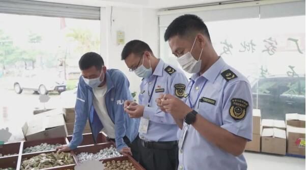 关于 西双版纳州重拳整治普洱茶网络直播营销乱象的资讯(5)