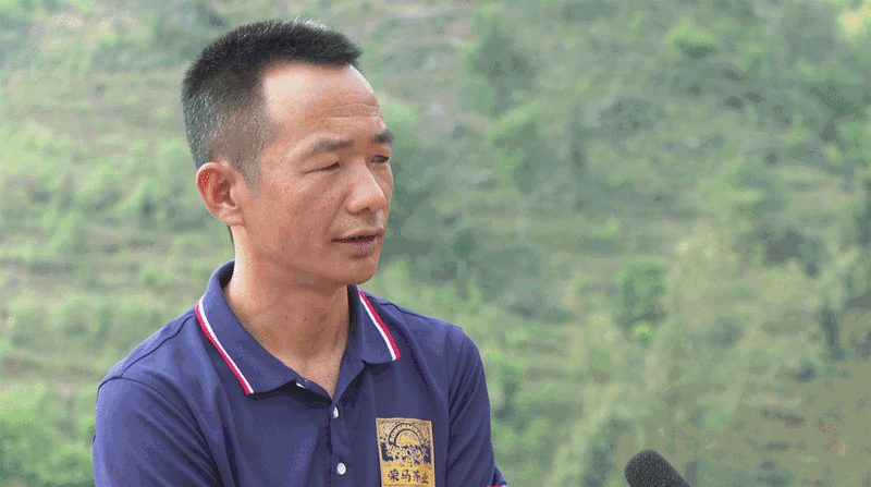 有关于走进20余座村寨，邂逅数十位优秀茶人……寻茶半个月的惊喜全在这！的消息(23)