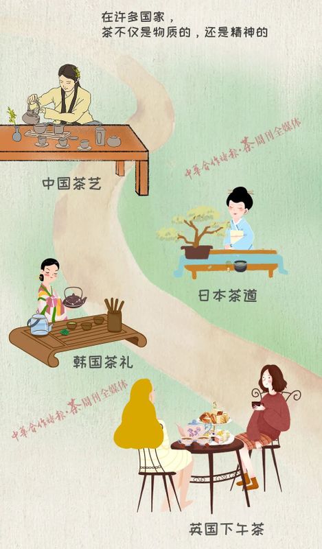 关于国际茶日你必须要知道的茶知识!的新闻(11)