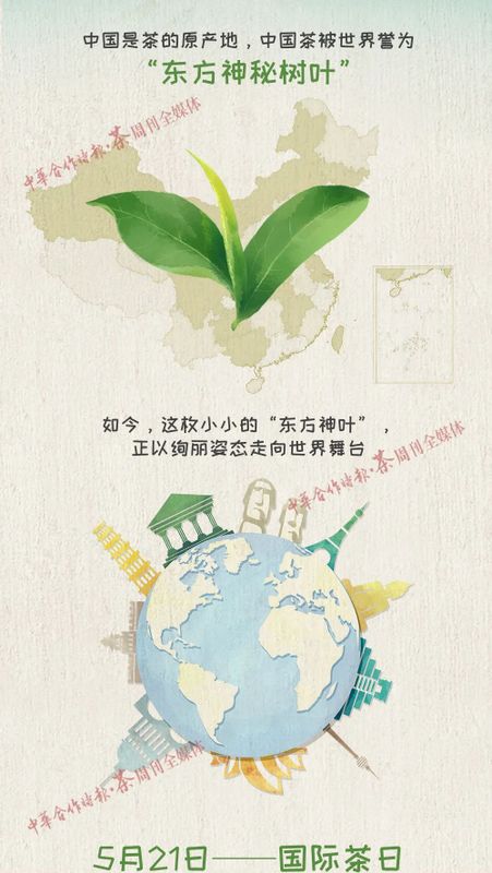 关于国际茶日你必须要知道的茶知识!的新闻(13)