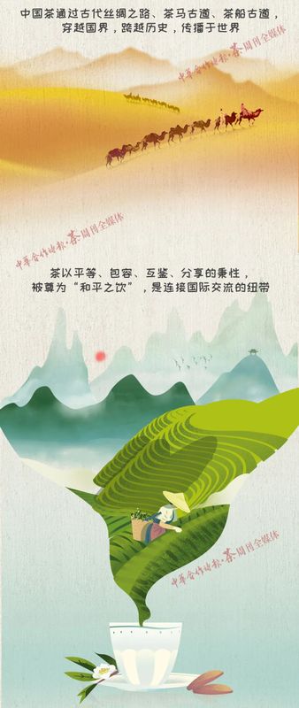 关于国际茶日你必须要知道的茶知识!的新闻(12)
