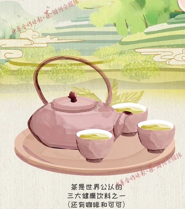 关于国际茶日你必须要知道的茶知识!的新闻(2)