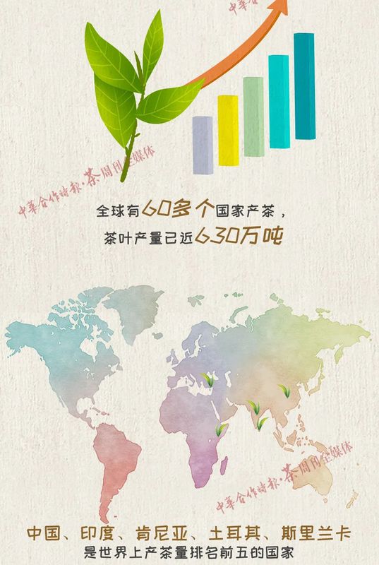 关于国际茶日你必须要知道的茶知识!的新闻(5)