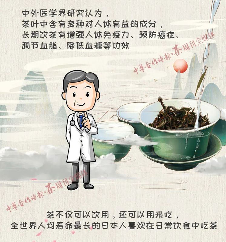 关于国际茶日你必须要知道的茶知识!的新闻(9)