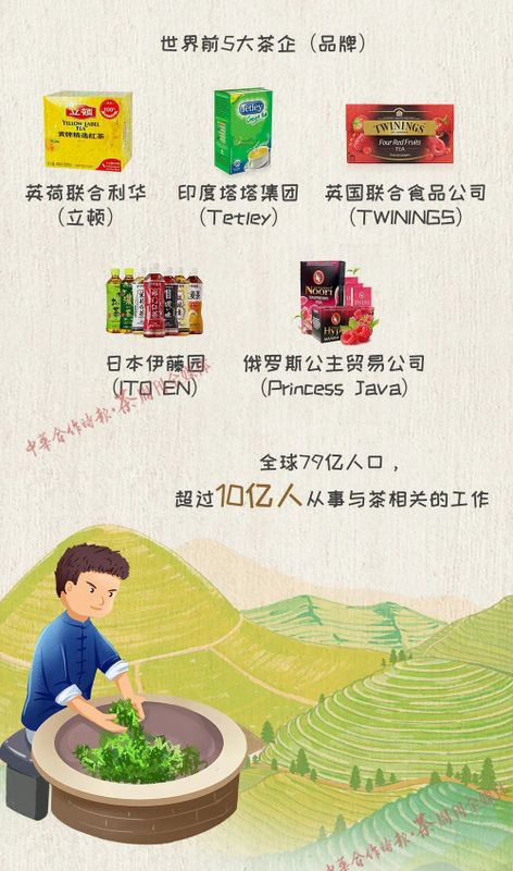 关于国际茶日你必须要知道的茶知识!的新闻(6)