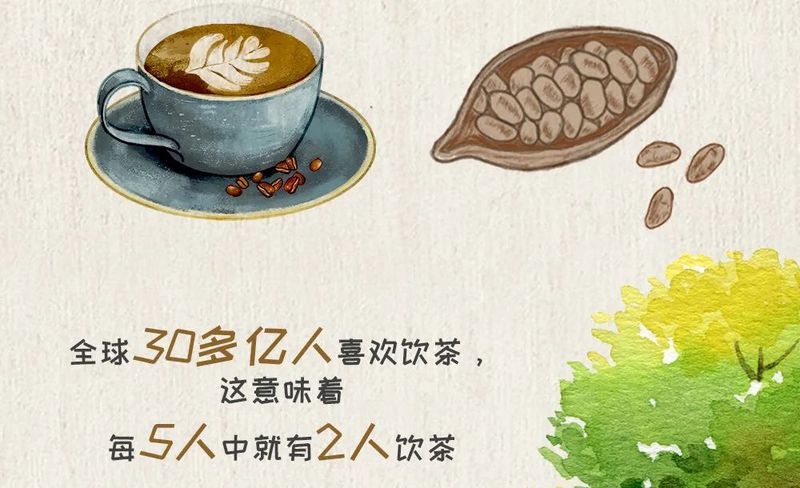 关于国际茶日你必须要知道的茶知识!的新闻(3)