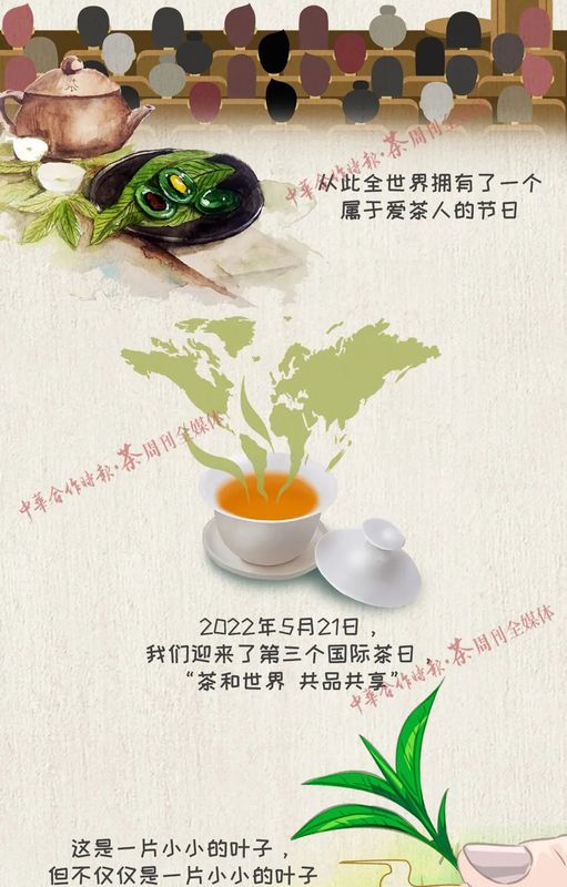 关于国际茶日你必须要知道的茶知识!的新闻(1)