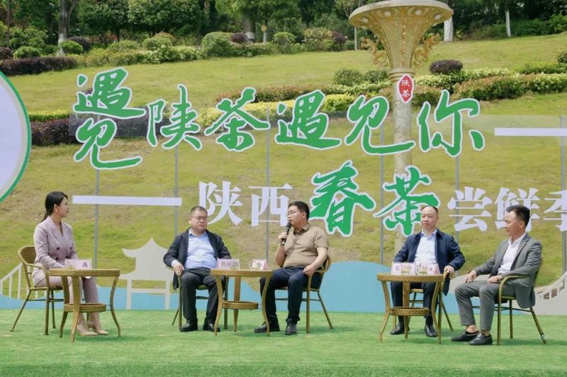 有关于第三届陕西网上茶博会岚皋专场活动启动——见证岚皋“南宫山茶”全产业链融合发展的信息(7)