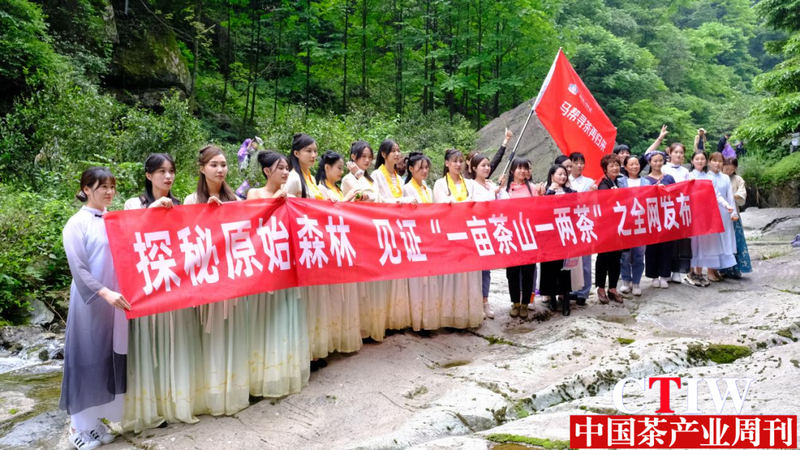 关于湖南探秘湖红源 助推湖南茶产加速度 中国工程院院士为新化红茶代言的内容