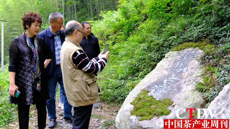 关于湖南探秘湖红源 助推湖南茶产加速度 中国工程院院士为新化红茶代言的内容(2)