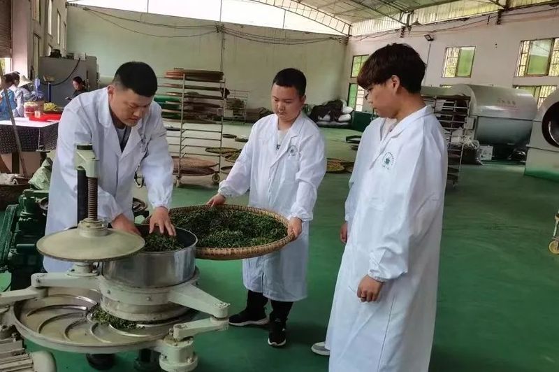 有关于茶业人才“就业回归率”越来越高，为什么？的消息(2)
