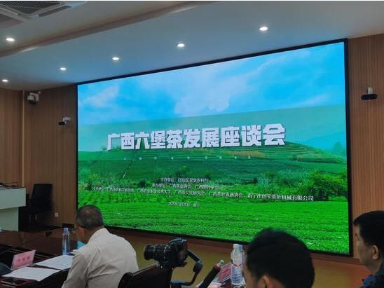 关于广西大力发展六堡茶产业 助力乡村振兴的相关内容