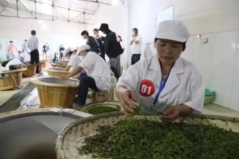 关于赣茶·快讯,手工制茶 是情怀 亦是匠心传承的内容(6)