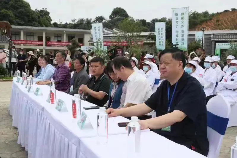 关于赣茶·快讯,手工制茶 是情怀 亦是匠心传承的内容(2)
