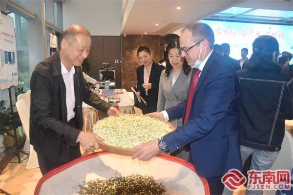 有关于闽榕茶业的资讯(15)