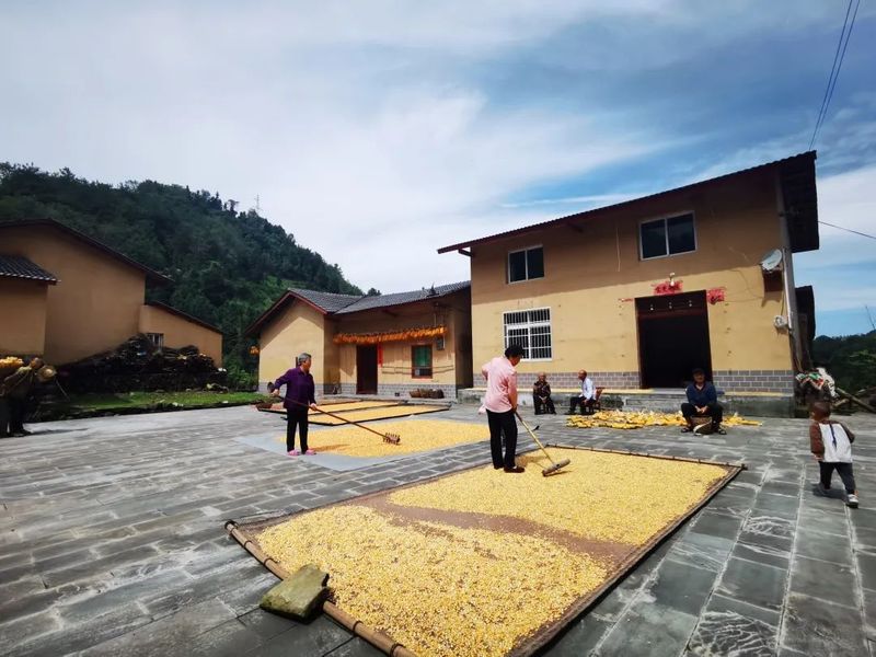 有关于汉滨区双龙镇茶旅、农旅、文旅“三旅融合”发展的实践与思考的相关信息(9)