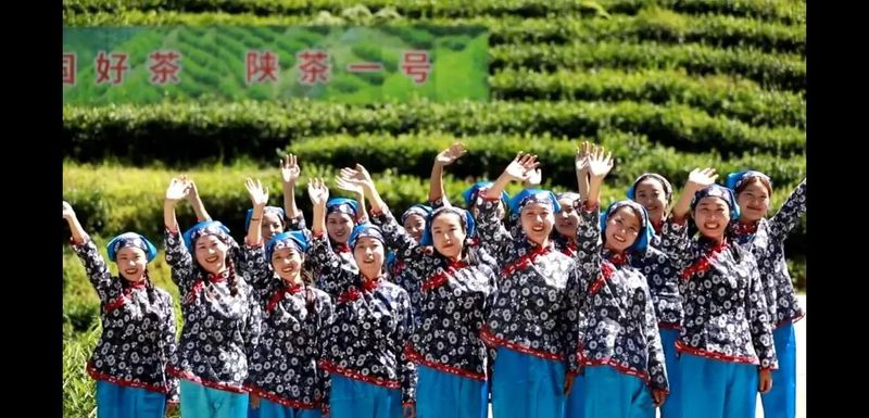 有关于汉滨区双龙镇茶旅、农旅、文旅“三旅融合”发展的实践与思考的相关信息(8)