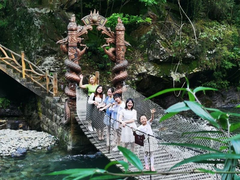 有关于汉滨区双龙镇茶旅、农旅、文旅“三旅融合”发展的实践与思考的相关信息(10)