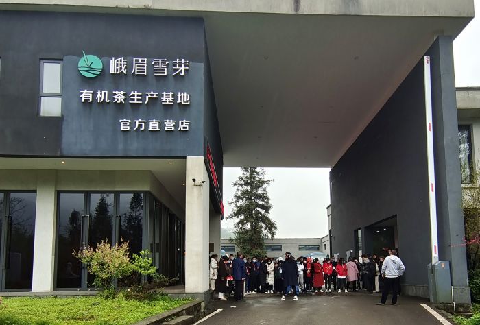 关于峨眉雪芽茶业集团总经理何群:让“千古禅茶”香飘世界的内容(2)