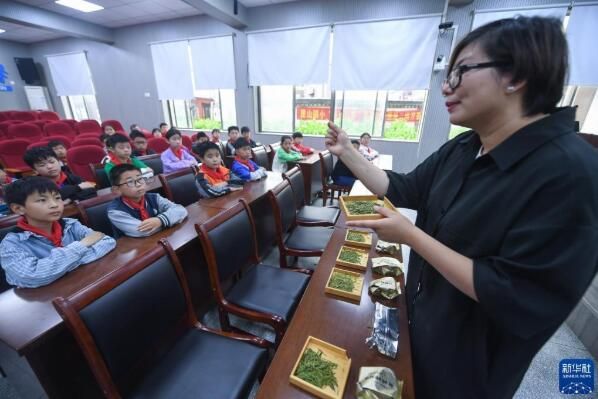 有关于浙江富阳:迎国际茶日 品茶香茶韵的消息(1)