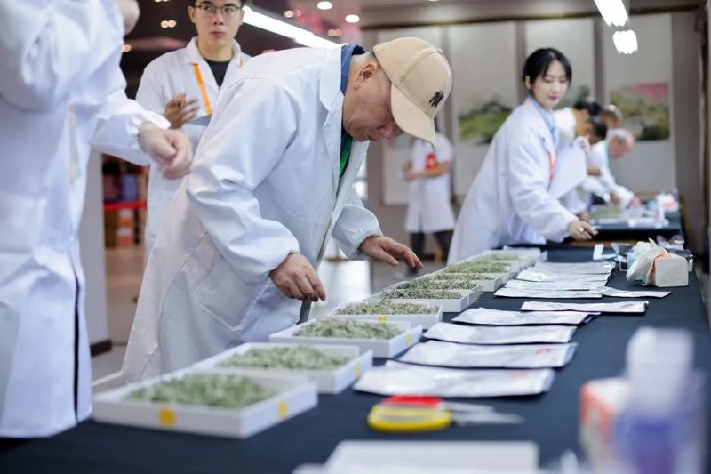 有关于敬国际茶日一杯好白茶,“冠军杯”2022首届白毫银针斗茶赛正式启动!的信息(11)