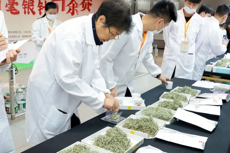 有关于敬国际茶日一杯好白茶,“冠军杯”2022首届白毫银针斗茶赛正式启动!的信息(13)