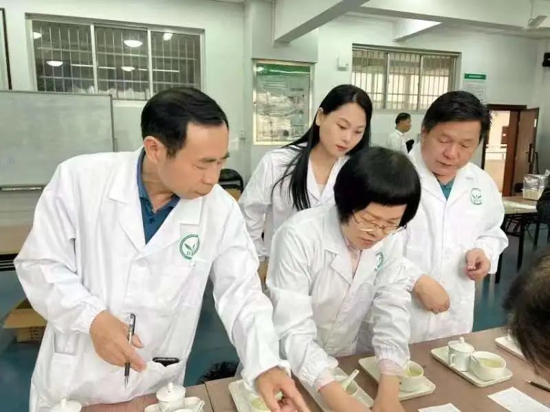 有关于2022“九狮寨”杯中国黄茶斗茶大赛专家审评会顺利举行的相关信息(3)