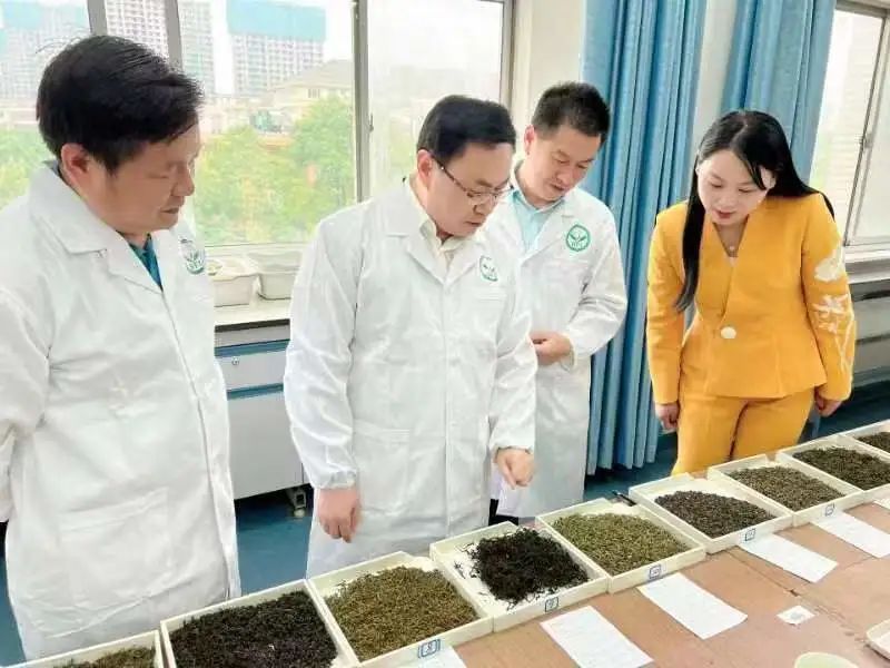 有关于2022“九狮寨”杯中国黄茶斗茶大赛专家审评会顺利举行的相关信息(2)