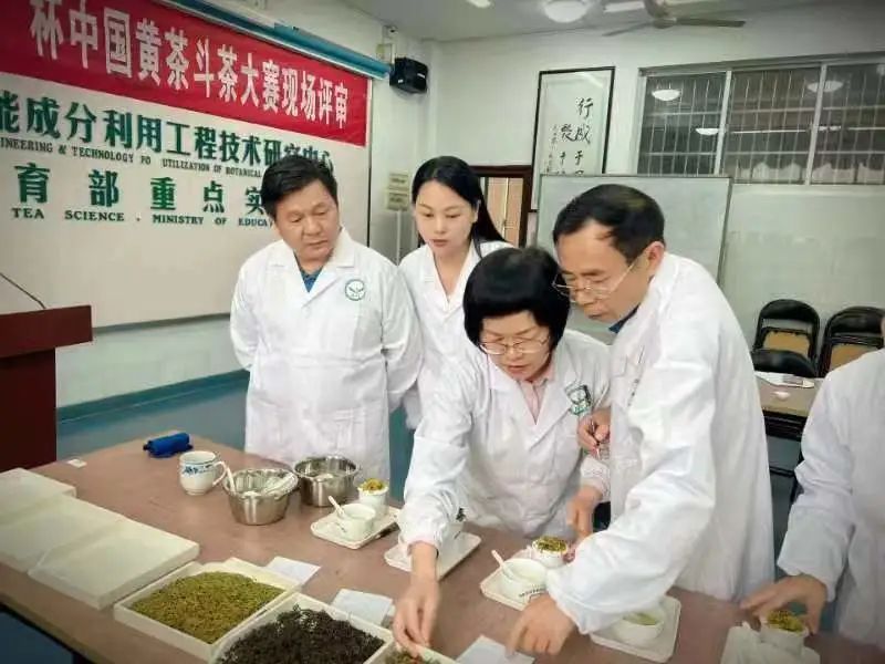 有关于2022“九狮寨”杯中国黄茶斗茶大赛专家审评会顺利举行的相关信息(4)