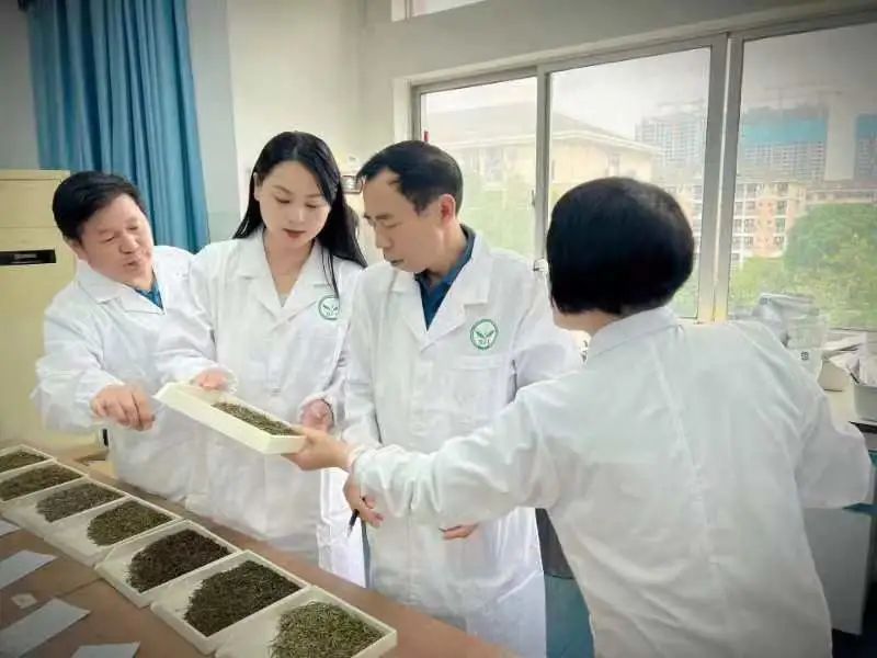 有关于2022“九狮寨”杯中国黄茶斗茶大赛专家审评会顺利举行的相关信息(5)