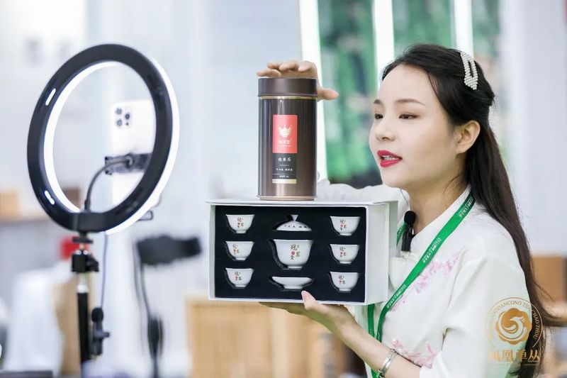 有关于做活茶文章，做强茶企业，做优茶品牌！2022潮州工夫茶大会圆满落幕！的信息(15)