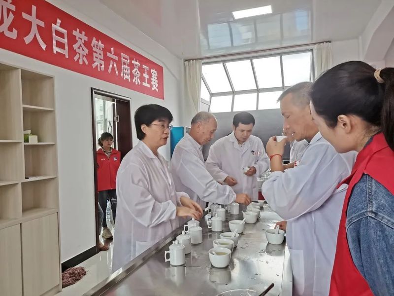 关于双茶王出炉!这场茶王赛展现松溪好茶巅峰对决!的新闻