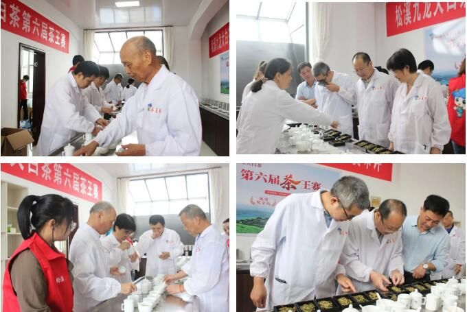 关于双茶王出炉!这场茶王赛展现松溪好茶巅峰对决!的新闻(3)