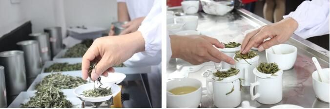 关于双茶王出炉!这场茶王赛展现松溪好茶巅峰对决!的新闻(2)
