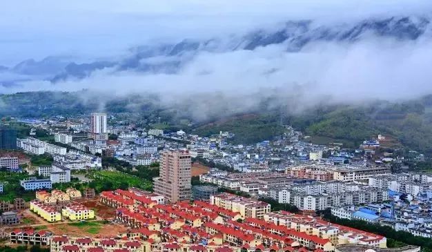 关于镇康:做强茶叶产业 推动对缅开放的信息(3)