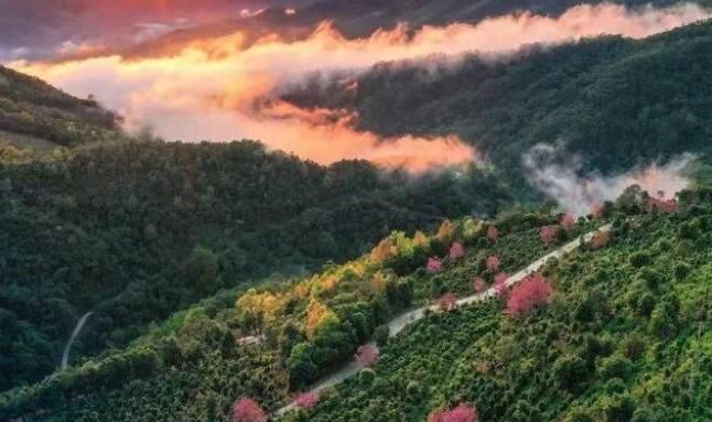 有关于来一场“寻根探祖”的普洱茶“发烧之旅”!的新闻(10)