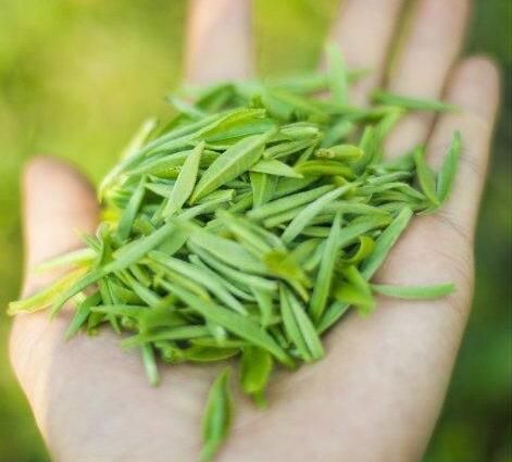 有关于来一场“寻根探祖”的普洱茶“发烧之旅”！的新闻(9)
