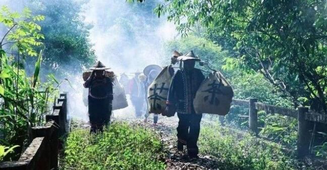 有关于来一场“寻根探祖”的普洱茶“发烧之旅”!的新闻(4)