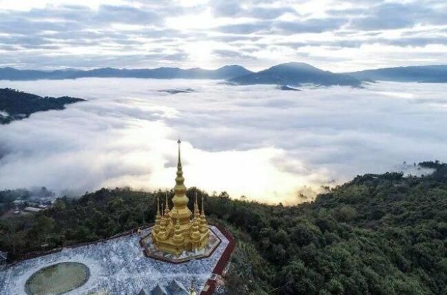 有关于来一场“寻根探祖”的普洱茶“发烧之旅”!的新闻(14)
