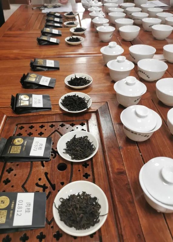 有关于闷声持续办大事,海茶会斗茶中国行再办13场!的相关信息(42)