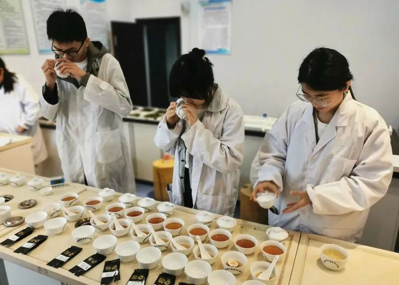 有关于闷声持续办大事,海茶会斗茶中国行再办13场!的相关信息(1)