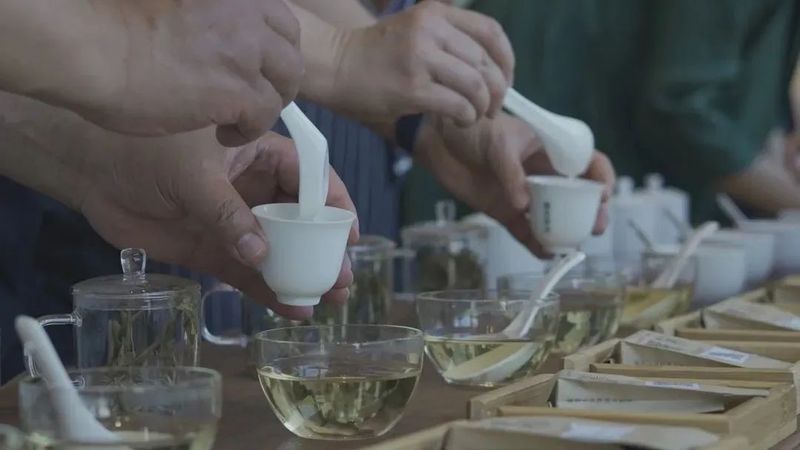 有关于闷声持续办大事,海茶会斗茶中国行再办13场!的相关信息(33)