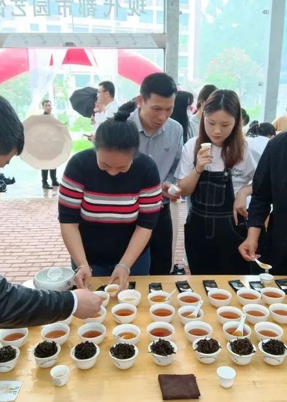 有关于闷声持续办大事,海茶会斗茶中国行再办13场!的相关信息(15)